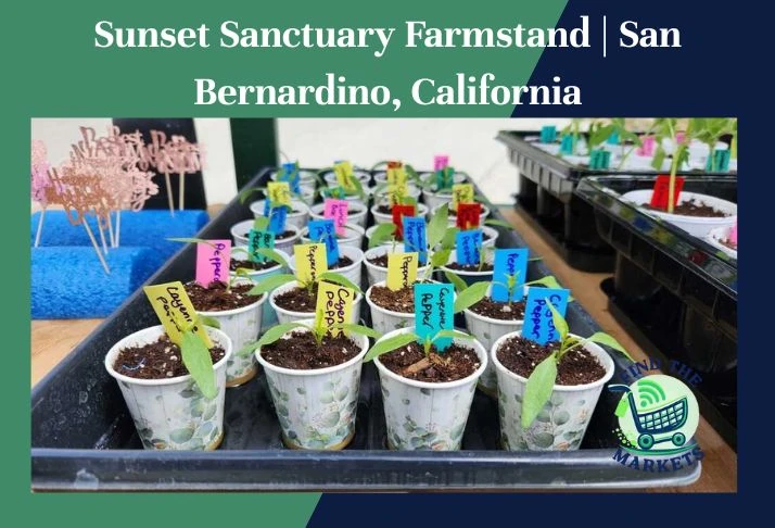 sunset sanctuary farmstand, san bernardino, california