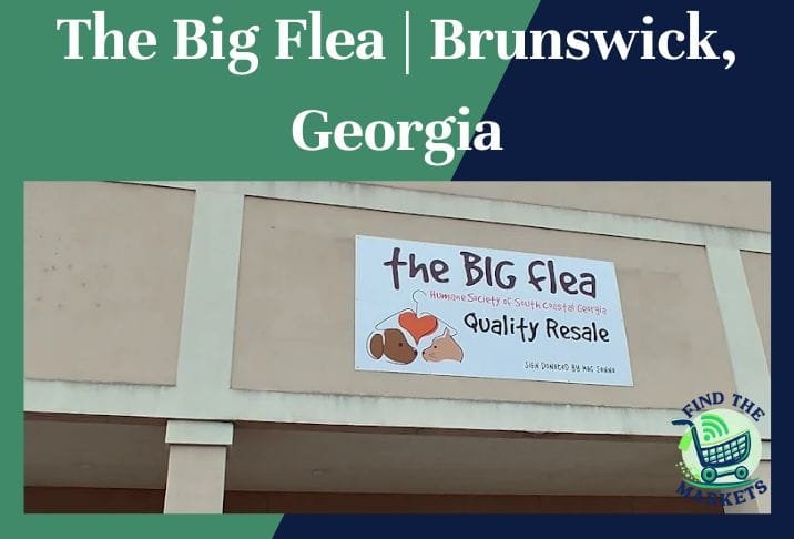 the big flea brunswick, georgia