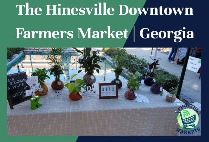 The Hinesville Downtown Farmers Market Georgia