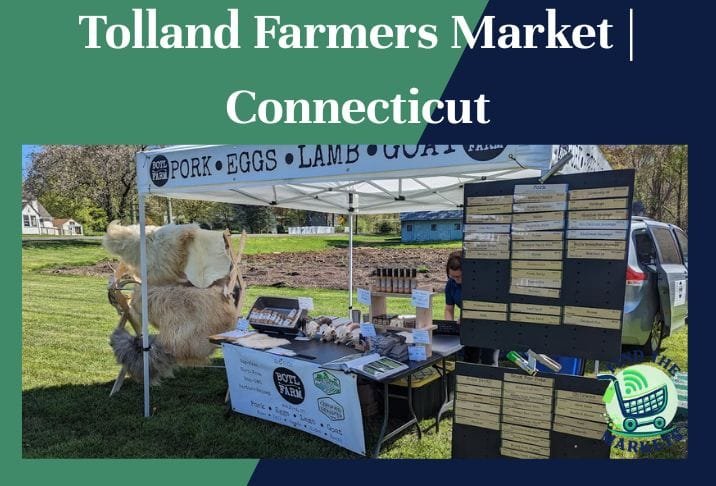 Tolland Farmers Market Connecticut