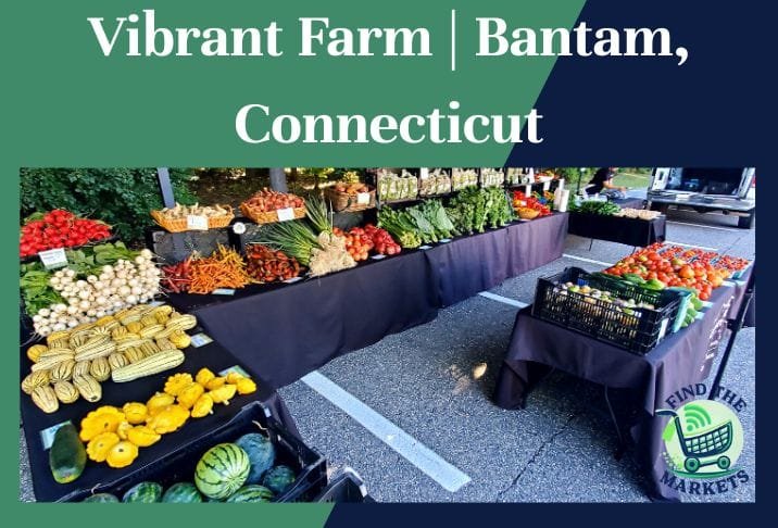 Vibrant Farm Bantam, Connecticut