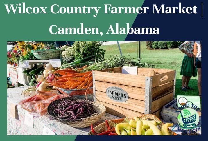 Wilcox Country Farmer Market Camden, Alabama