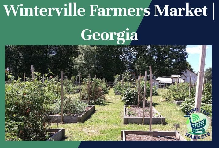 Winterville Farmers Market Georgia