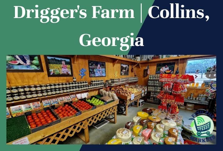 Drigger's Farm Collins, Georgia