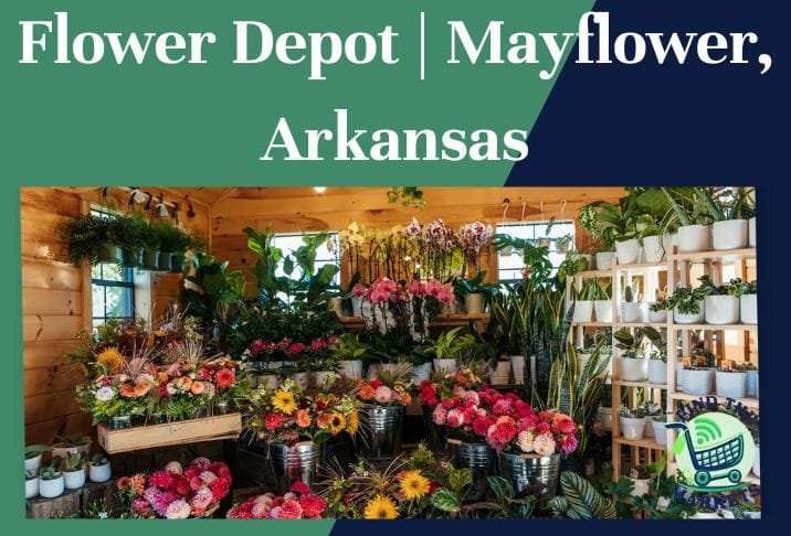 Flower Depot Mayflower, Arkansas
