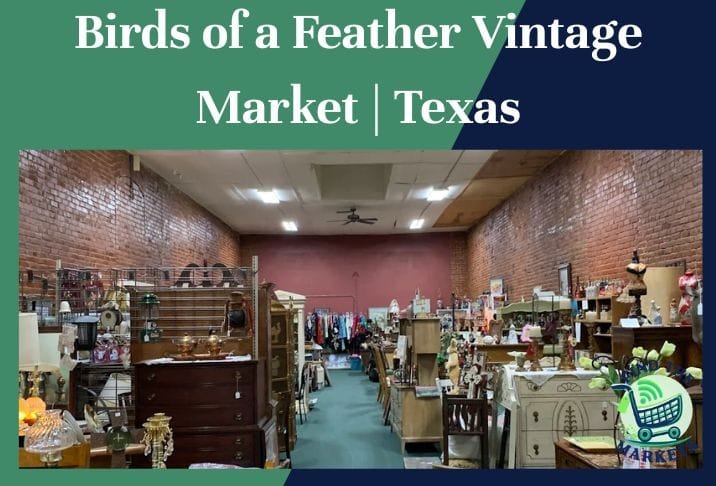 Birds of a feather vintage market texas