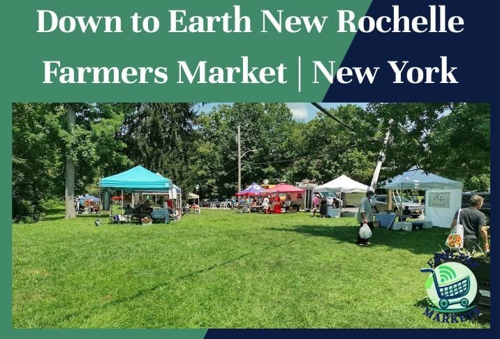 Down to Earth New Rochelle Farmers Market New York