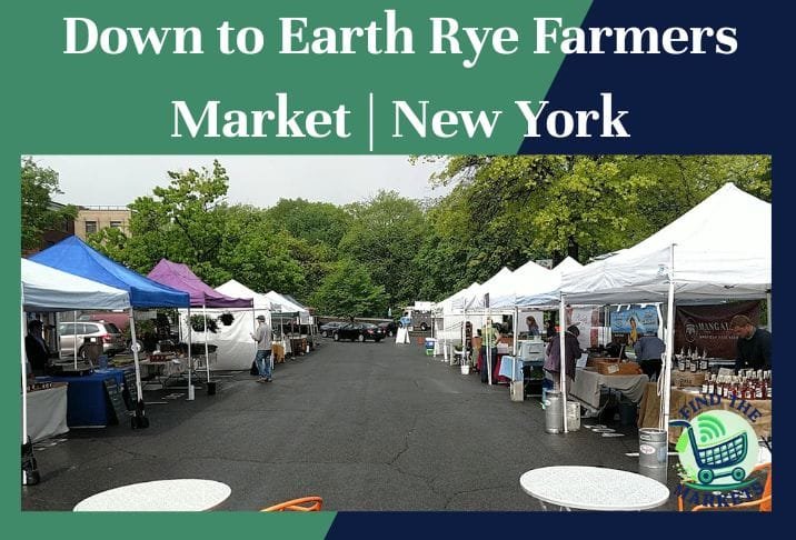 Down to Earth Rye Farmers Market New York