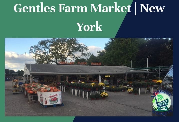 Gentles Farm Market New York